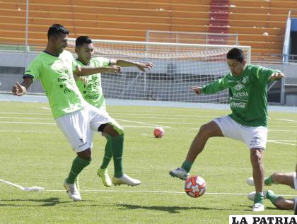 El cuadro boliviano necesita alistarse para disputar los partidos de eliminatorias /APG