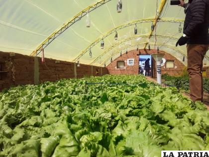 25 municipios del departamento se beneficiarán con este proyecto /Sedag