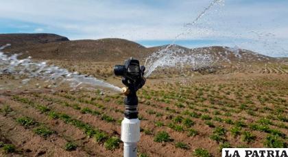Soracachi tiene vocación agroproductiva /iagua.es
