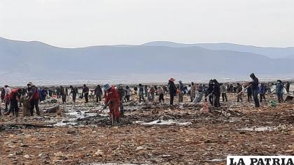 La limpieza en el lago Uru Uru de alguna manera beneficia al medio ambiente /LA PATRIA