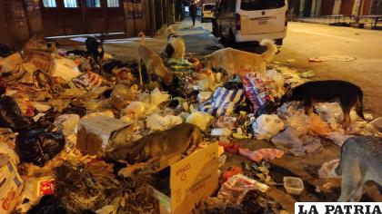 Los canes se convierten en los “amos” de la basura en las esquinas del mercado /LA PATRIA