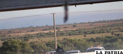 Fue encontrado colgado debajo de un puente /Foto Zacatecas zona de peligro