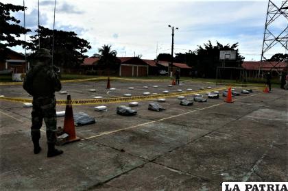 El daño al narcotráfico es de 1,2 millones de dólares /abi