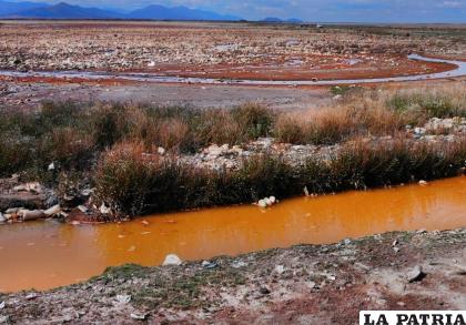 El agua es uno de los elementos más vulnerables a la contaminación /LA PATRIA