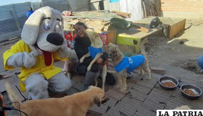 La voluntaria Ustariz con las mascotas rescatadas /LA PATRIA