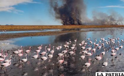 Los voluntarios denunciaron asentamientos en lugares peligrosos y contaminación /Freddy Flores