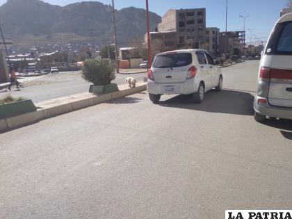 Algunos conductores no se enteraron de la restricción vehicular /LA PATRIA