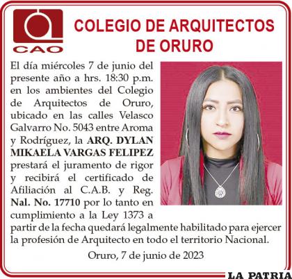 ARQ. DYLAN MIKAELA VARGAS FELIPEZ
