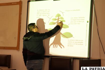 El experto explicando la forma de trabajar los bonsáis /Cortesía