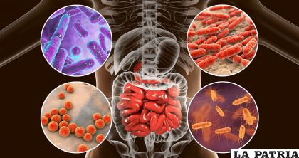 Estudios confirman la presencia de microplásticos dentro del cuerpo de los humanos 
/RRSS