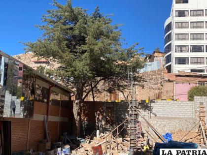 La nueva obra en el ASS se adecuó respetando la vida de los árboles /LA PATRIA