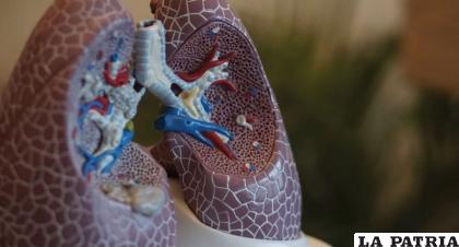 Los microplásticos están presentes en las vías respiratorias de los humanos /RRSS
