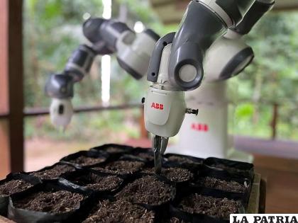 Este robot puede reforestar zonas remotas / RRSS