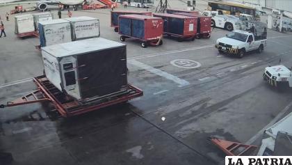 La carga fue llevada en un vuelo de BoA hasta España /RRSS 