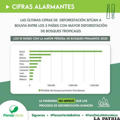 Estadísticas del 2020 muestran a Bolivia en el tercer lugar de deforestación / RRSS