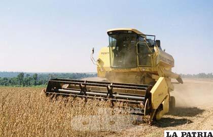 Producción de cereales, leguminosas y oleaginosas alcanzará en 2011 un volumen histórico en Brasil