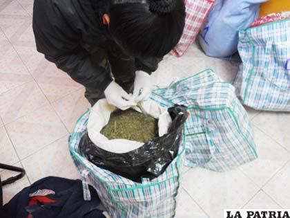Marihuana sometida al narcotest