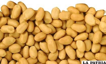 El consumo de 50 gramos de maní provee el 24 por ciento de las proteínas necesarias
