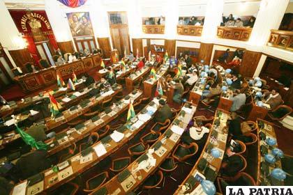 Oposición planteará ante la OEA un amparo constitucional sobre el tema de elecciones