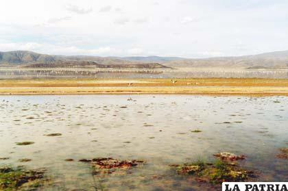 Medio ambiente de la Gobernación gestionó el avance en defensa de la cuenca del lago Poopó