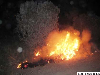 Kiswaras en medio del fuego