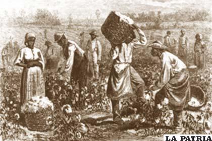 En 1800, en Estados Unidos había un millón de esclavos