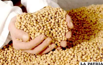 La harina de soya alcanza precios elevados en países como Perú, hacia donde es introducida de contrabando /Foto: Arch.