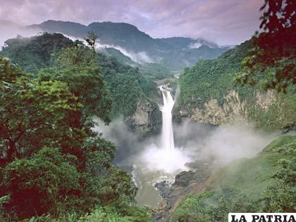 Parque Nacional Yasuní es el área protegida más grande del Ecuador continental. FOTO blog.espol.edu.ec