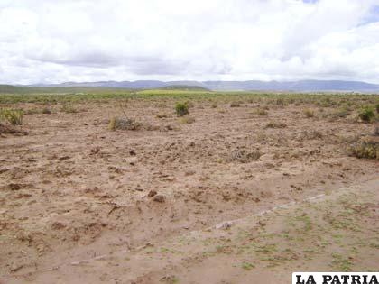 Sector donde se suscitaron enfrentamientos por barbecho de tierras, entre comunarios de Potosí y Oruro 