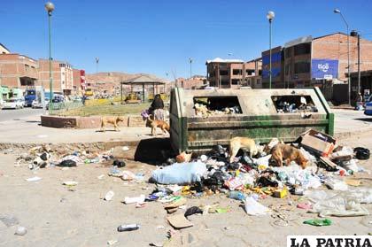 Cientos de perros están en las calles