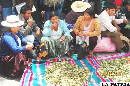 Morales alienta a seguir la lucha a favor de la coca y en diciembre espera que se despenalice el acullico (Foto archivo)