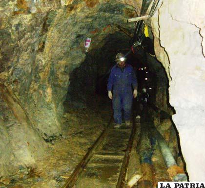 Cooperativistas quieren superar regalías mineras del 2011