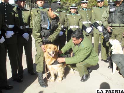 Los canes Thempes (izquierda) y Eros (derecha) son el orgullo del Comando de Policía