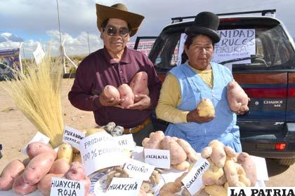 Florentino Huanca Choque y Felipa Acapa de Huanca