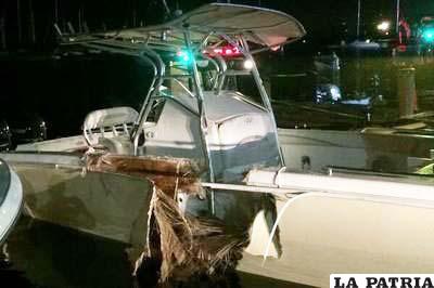 Choque de barcos en Miami