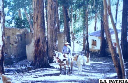 Durante una travesía a caballo en Cochabamba