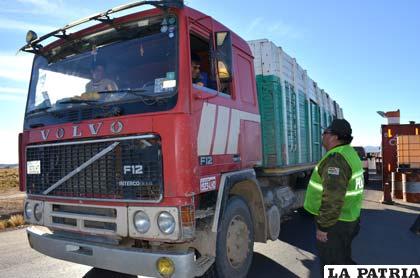 Los conductores en su mayoría no utilizan el cinturón de seguridad