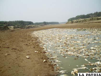 Consecuencias de la contaminación en el Río Pilcomayo
