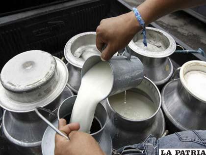 La producción de leche en el país se incrementó en un 5 %