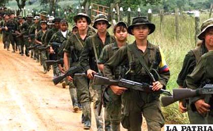 Mueren 13 guerrilleros de las FARC y el ELN (Foto archivo)