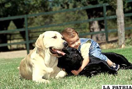 El hombre y el perro tienen lazos de amistad inmemoriales