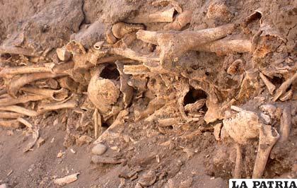 Restos óseos encontrados en Potosí