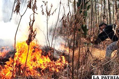 Gran parte de los incendios y focos de calor en Bolivia, fueron provocados por la intervención de la mano del hombre