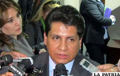 Magistrado del Tribunal Constitucional, Rudy Flores