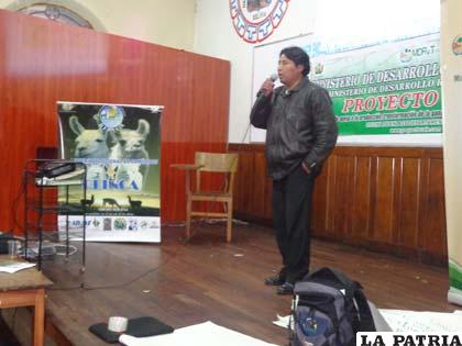 Encuentro departamental de productores camélidos 