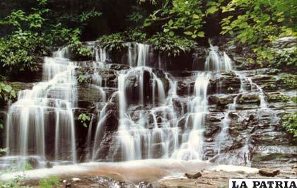 Parque Nacional Natural Los Katios /prensalibre.com