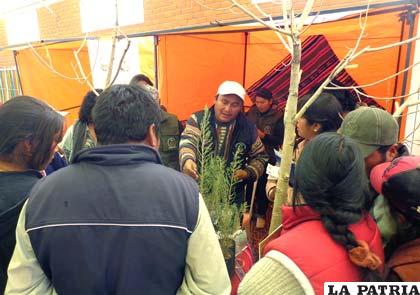 Exposición sobre cultivo de álamos en Machacamarca