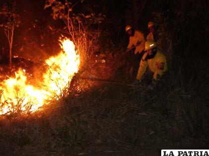 Varios municipios en el oriente del país están afectados por los incendios /mindef.gob.bo