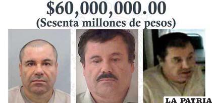 DEA y el gobierno de México ofrecen recompensa por recaptura de 