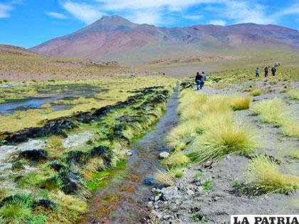 Bolivia asegura que el Silala es un manantial y no un río /elpotosi.net